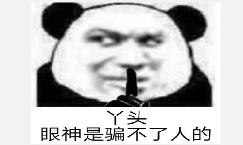 丫头文学是什么梗 