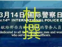 国际警察日是几月几日？3月14日是不是“国际警察日”？