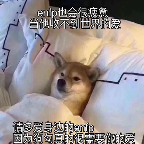 enfp是什么意思什么梗