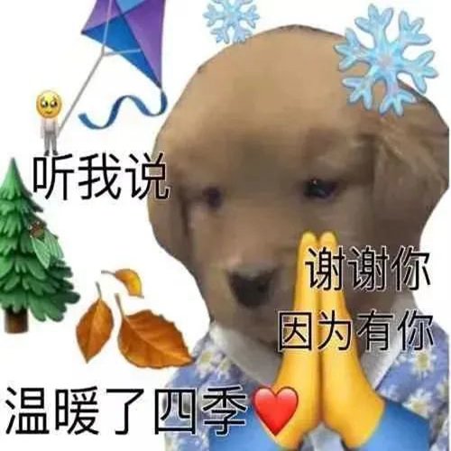 听我说谢谢你因为有你温暖了四季是什么歌