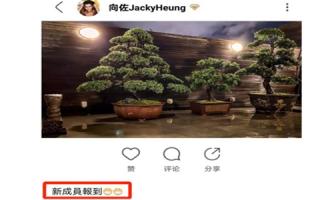郭碧婷疑似成功怀孕，向太和向佐二人回应很巧妙