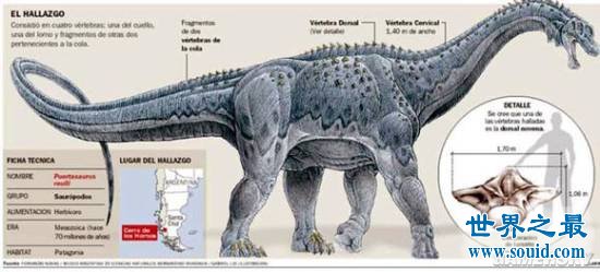 史前体型最大的十种恐龙，地球的绝对霸主(www.souid.com)
